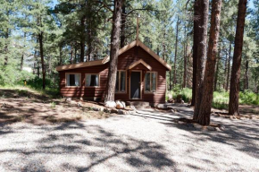 151 CR 200 Studio Cabin